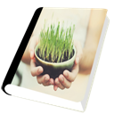 8 ChromeIlusion icon